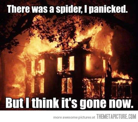 There Was A Spider I Panicked But I Think It's Gone Now Funny Fire Meme