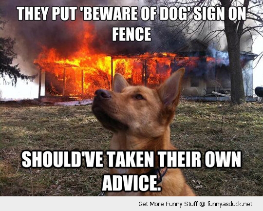 They Put Beware Of Dog Sign On Fire Fence Funny Picture