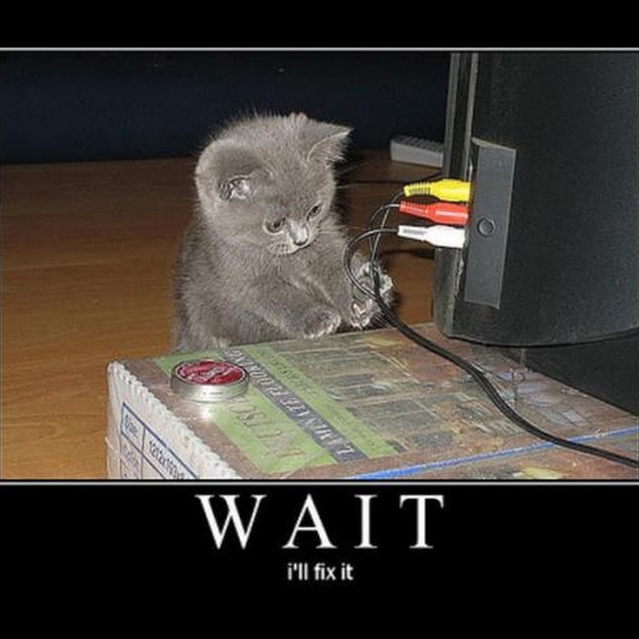 Wait I Will Fix It Funny Cat Lol Poster