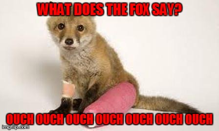 What Does The Fox Say Funny Ouch Picture