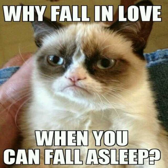Why Fall In Love Funny Cat Lol Picture