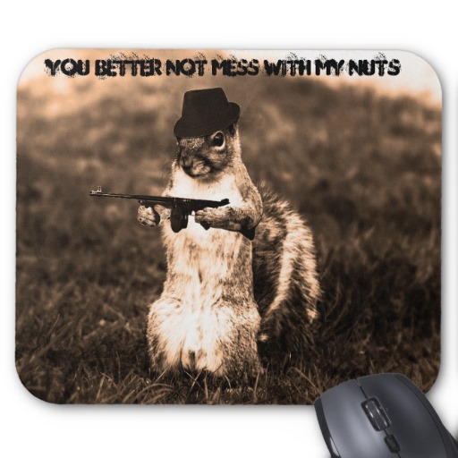 You Better Mess With My Nuts Funny Gangster Squirrel Picture