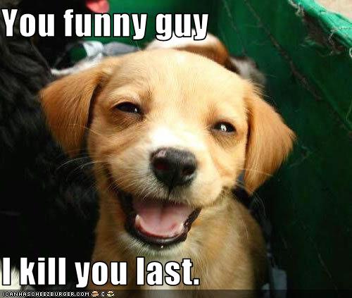 You Funny Guy I Kill You Last Funny Picture