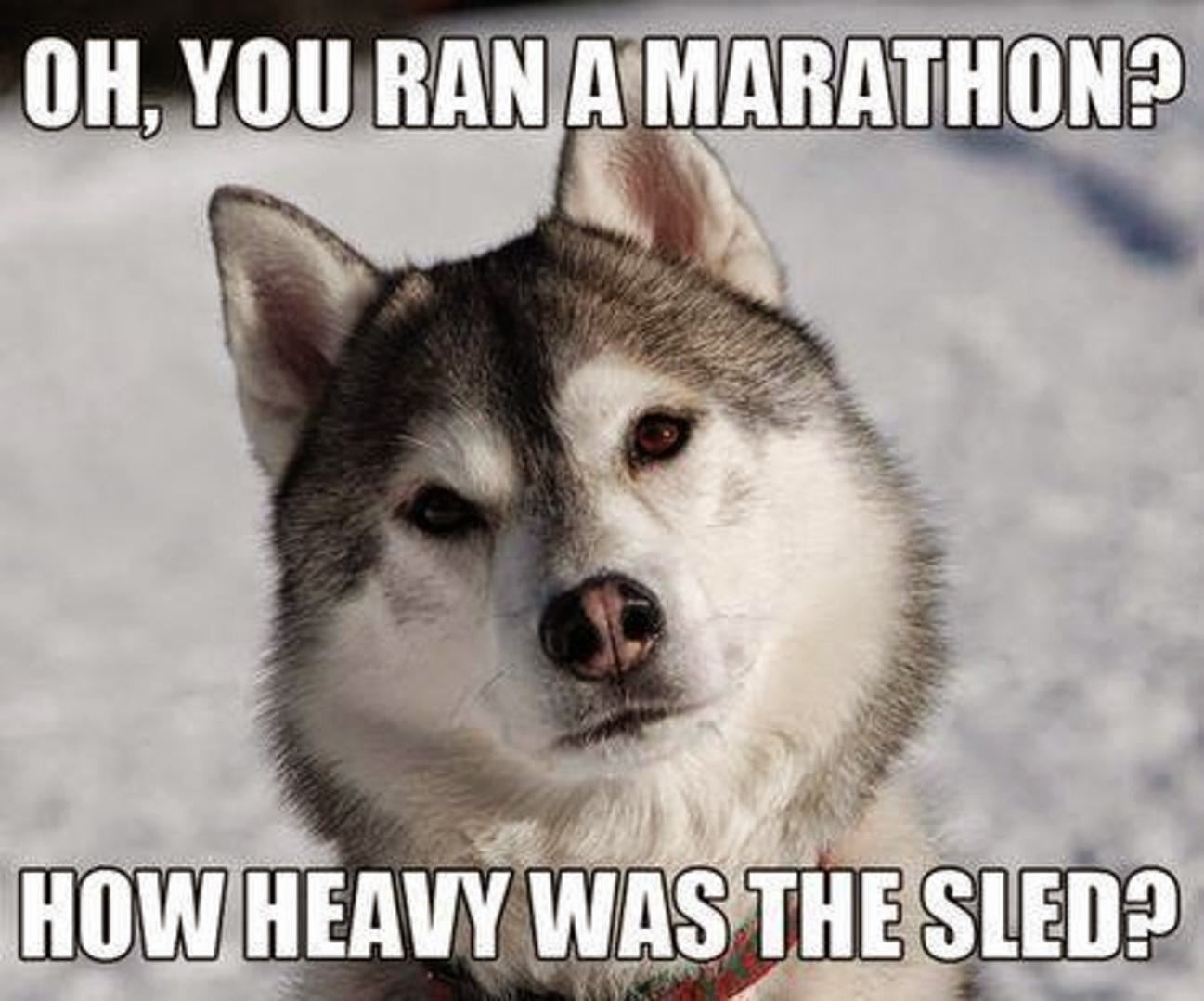 You Ran A Marathon Funny Funny Lol Meme Image
