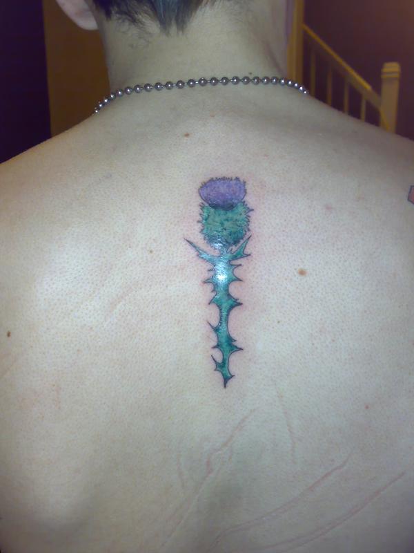 Amazing Thistle Flower Tattoo On Man Upper Back