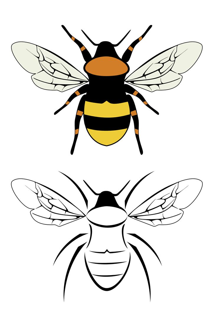 Amazing Two Bumblebee Tattoo Design
