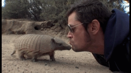 Animal Bite Johnny Knoxville Funny Gif