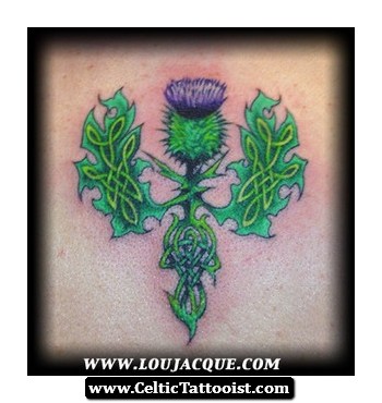 Awesome Celtic Thistle With Leaves Tattoo Design