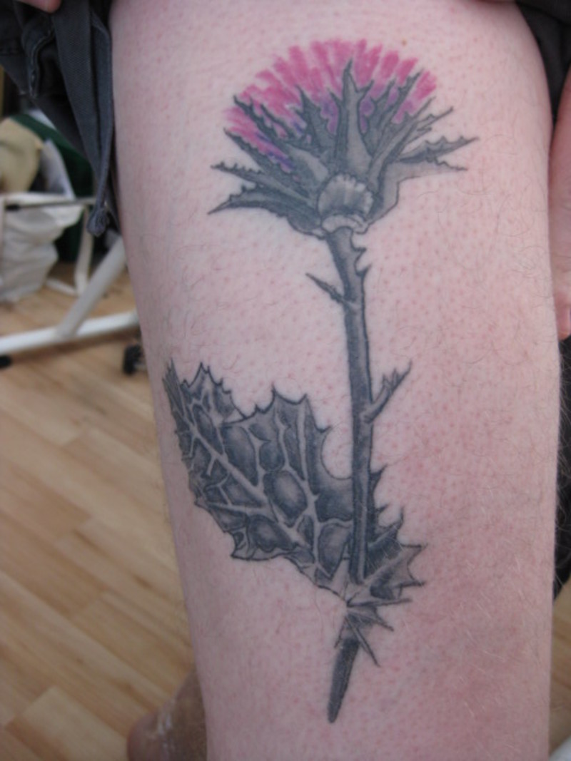 Awesome Thistle Flower Tattoo On Thigh