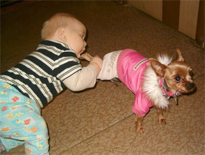 Baby Trying To Bite Puppy Leg Funny Picture