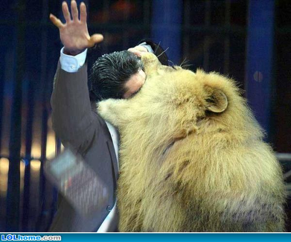 Bear Funny Lion Biting Man Face