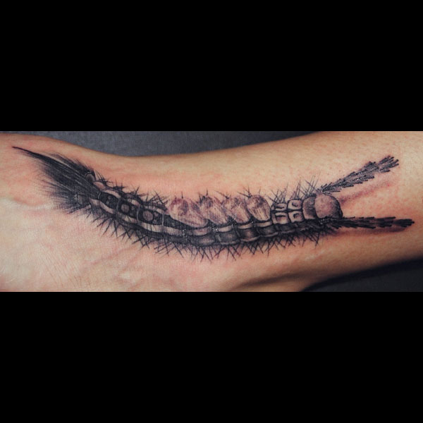 Black And Grey Caterpillar Tattoo Design For Leg By Seth Agar
