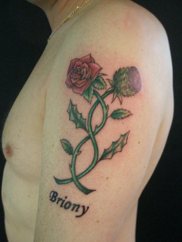 Briony - Thistle With Red Rose Tattoo On Man Left Half Sleeve