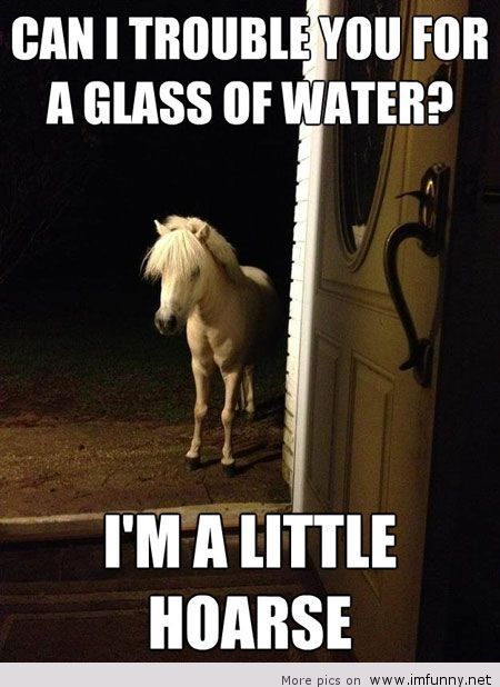 Can I Trouble You For A Glass Of Water Funny Horse Meme