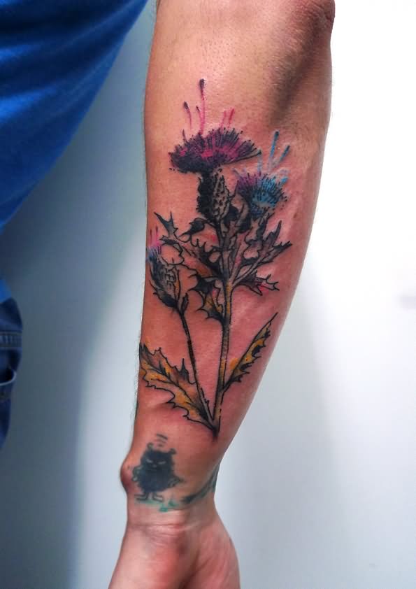Colorful Thistle Flower Tattoo On Forearm
