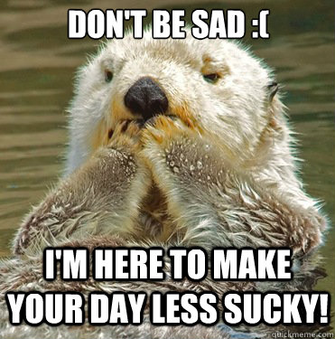 Don't Be Sad Funny Bear Meme Image