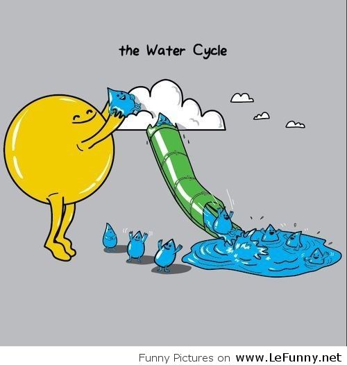 Funny Water Cycle Cartoon Image