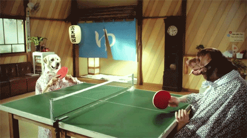 Guys With Dog Mask Playing Table Tennis Funny Gif