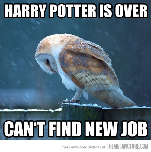 Harry Potter Is Over Can't Find New Job Funny Sad Bird Meme