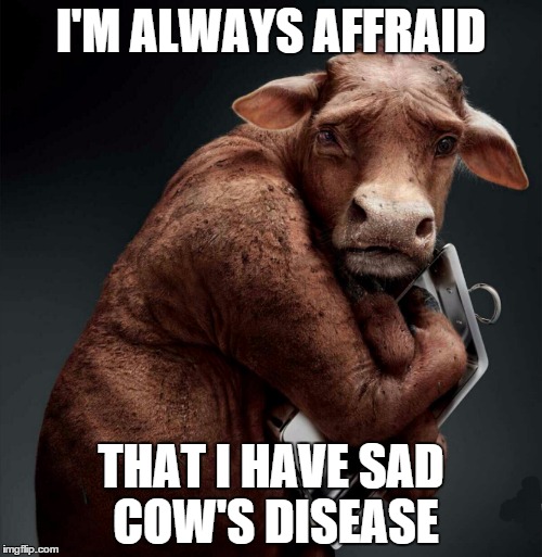 I Am Always Afraid Funny Sad Cow Meme Picture