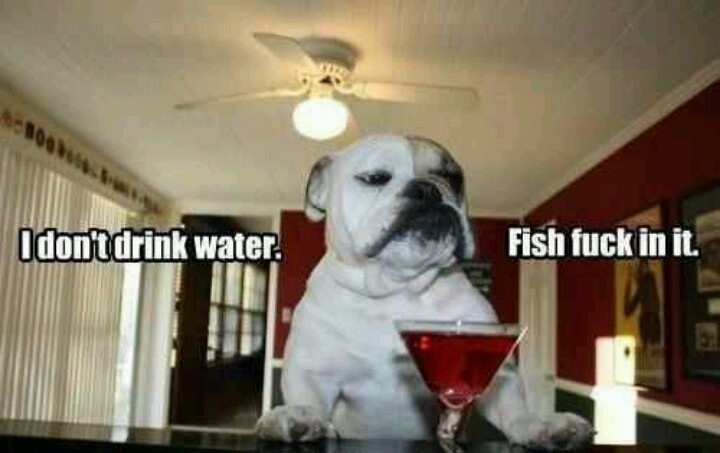 I Don't Drink Water Funny Dog Picture