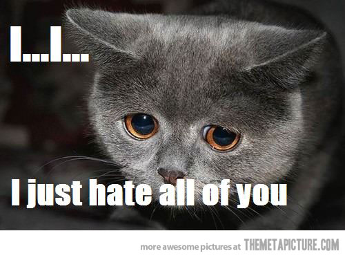 I Just Hate All Of You Funny Sad Kitty Image