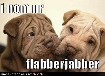 I Non Ur Flabberjabber Dogs Funny Bite Picture