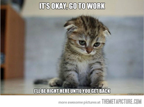 It's Okay Go To Work Funny Sad Kitty Image
