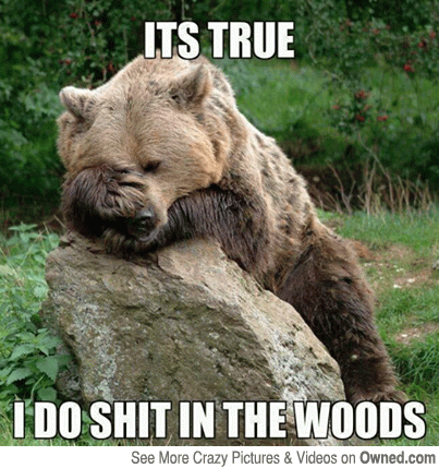 It's True I Do Shit In The Woods Funny Bear Meme Picture