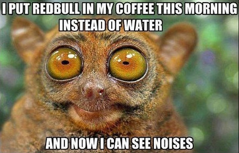 Mix Redbull And Coffee And Now I Can See Noises Funny Water Animal Meme
