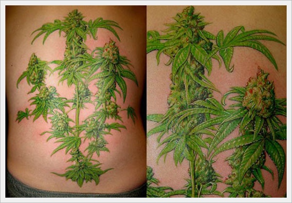 Nice Green Leaves Tattoos On Back