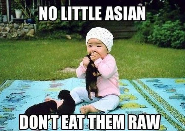 No Little Asian Funny Kid Meme Picture