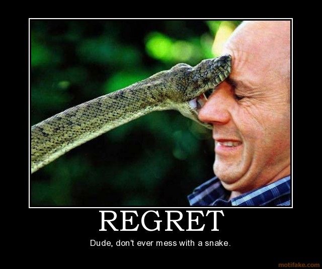Snake Biting Man Face Funny Picture