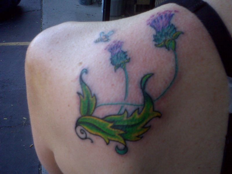 Thistle Flowers Tattoo On Left Back Shoulder By Random Fibers