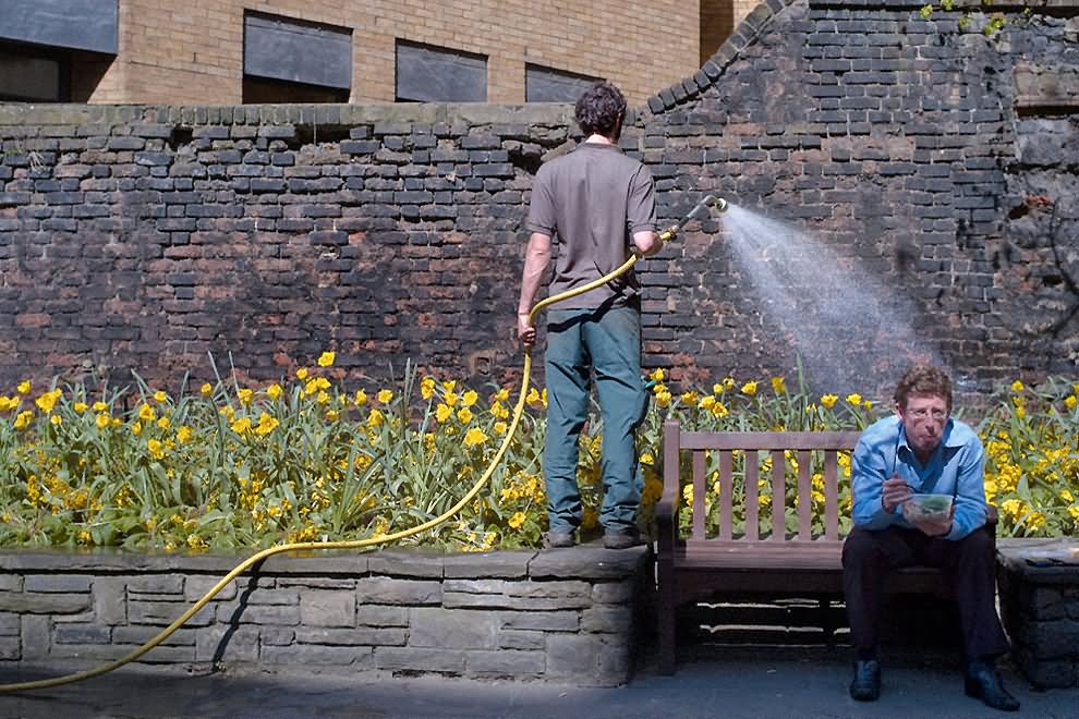 Watering Flowers Funny Unusual Angle Picture