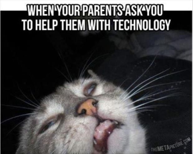 When Your Parents Ask You To Help Them With Technology Funny Sad Kitty Meme