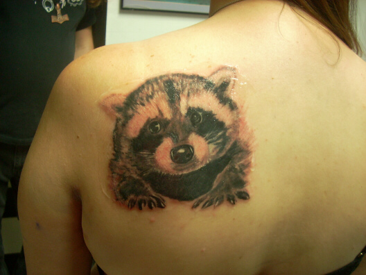 Black Ink Raccoon Tattoo On Girl Left Back Shoulder