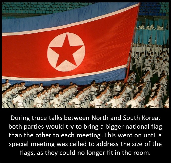 Funny Giant Flag Picture