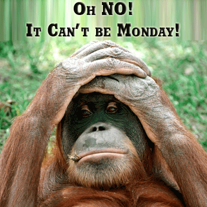 Ho No It Can't Be Monday Funny Monkey Animated Greeting Image