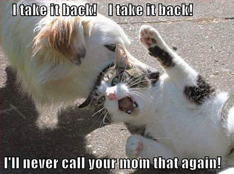 I Will Never Call Your Mom That Again Funny Humor Animals