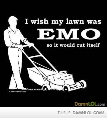 I Wish My Lawn Was Emo So It Would Cut Itself Funny Image