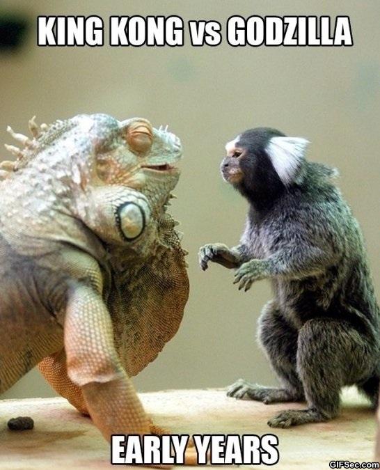 King Kong Vs Godzilla Funny Humor Picture