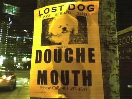 Lost Dog Goes By Douche Mouth Funny Picture
