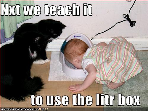 Nxt We Teach It To Use The Litr Box Funny Cat And Baby Humor