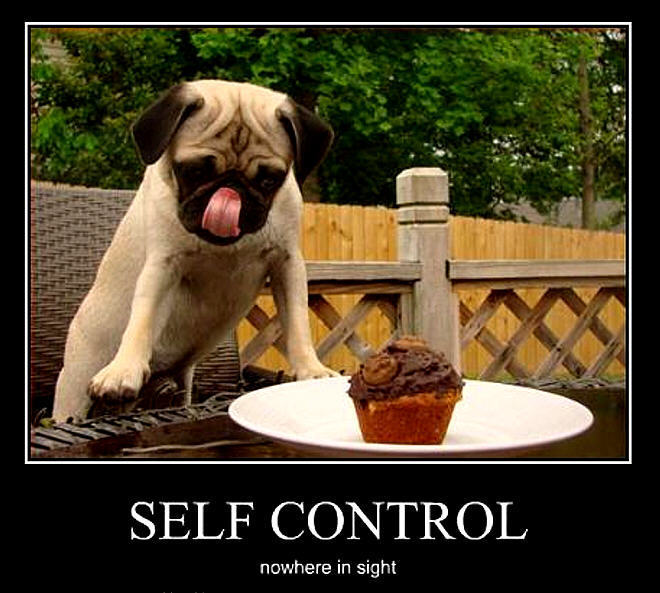 Self Control Funny Pug Dog Humor