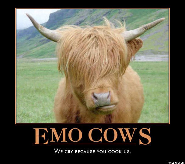 We Cry Because You Cook Us Funny Emo Cows Image