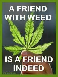 A Friend With Weed Funny Image