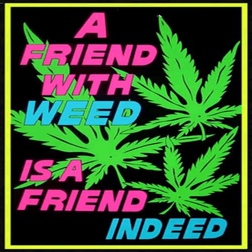 A Friend With Weed Is A Friend Indeed Funny Image