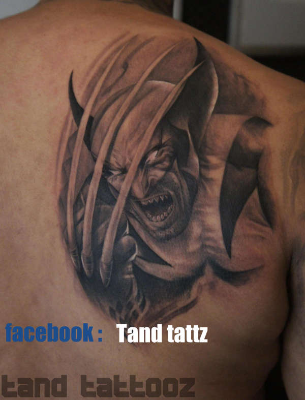 Amazing Black And Grey Wolverine Tattoo On Man Right Back Shoulder