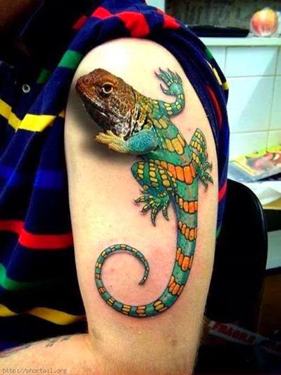 Amazing Colorful 3D Lizard Tattoo On Left Half Sleeve